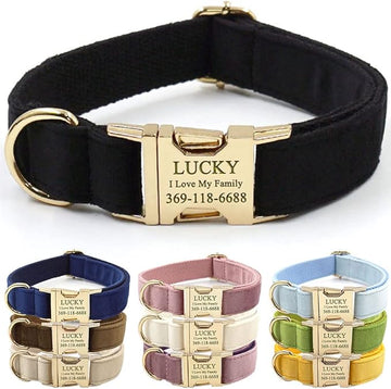 Custom Dog Collar Personalized