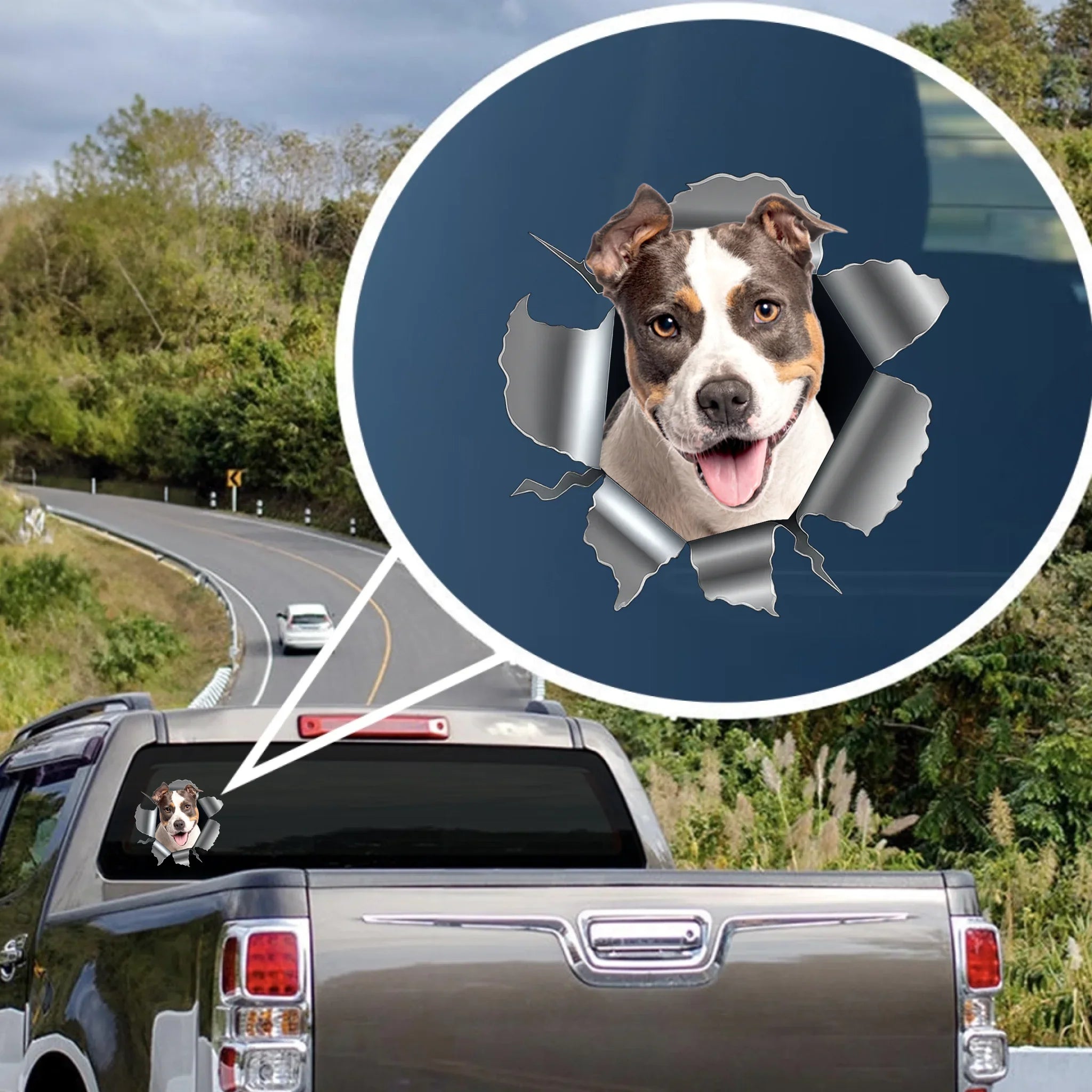 Custom Photo RV Decal