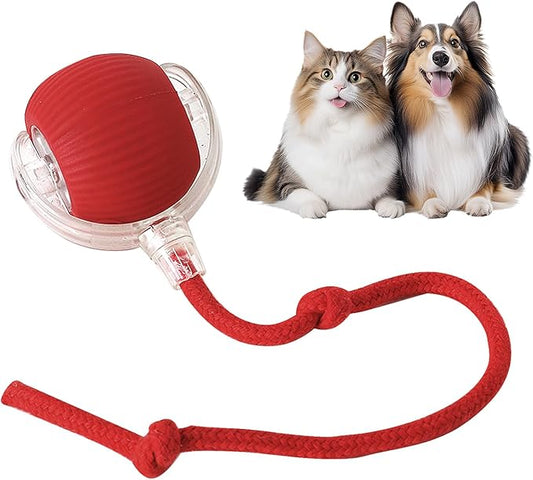 Pet Interactive Ball Toy – Engaging Fun for Dogs & Cats