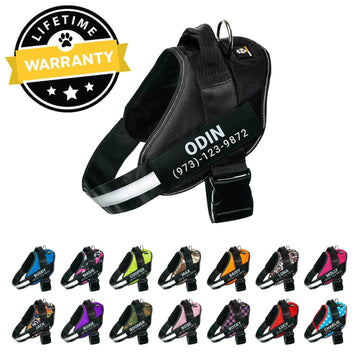 Custom No Pull Dog Harness with Name – Personalized Adjustable Vest for Training & Walking