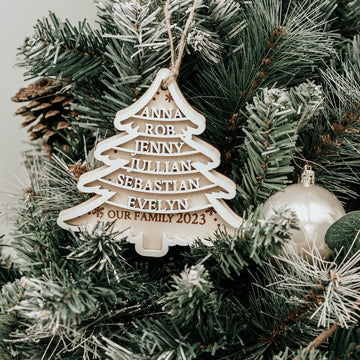 Family Christmas ornaments