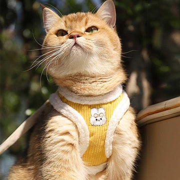 Rabbit Cat Harness Escape Proof 3 Color Vest Leash Set