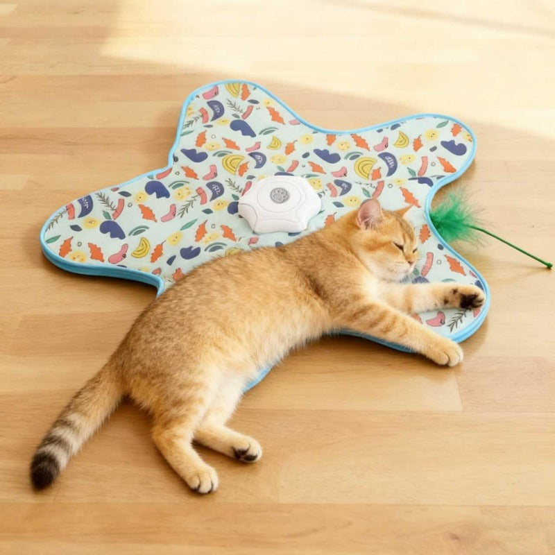Pet Supplies