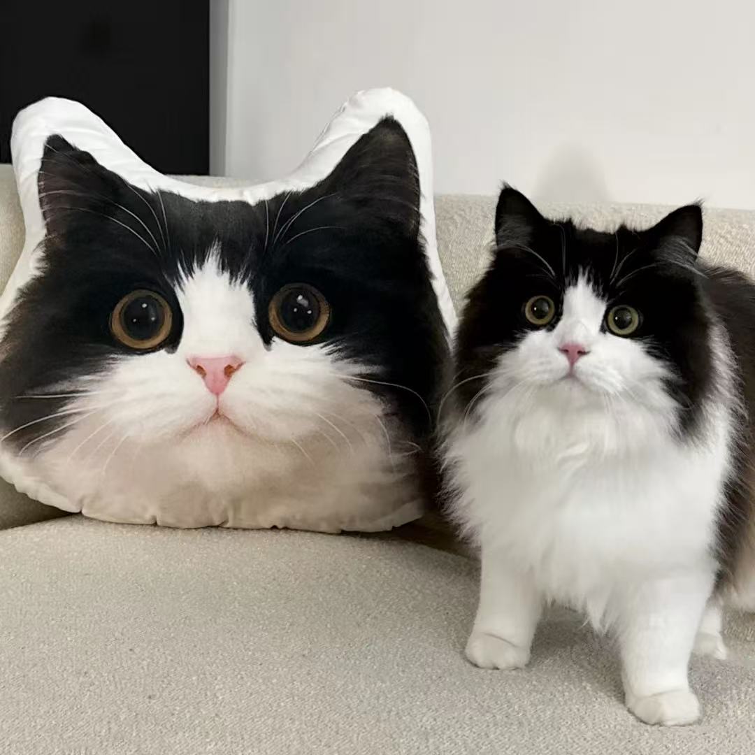 Personalized Pet Shaped Pillow 3D Photo Pillow