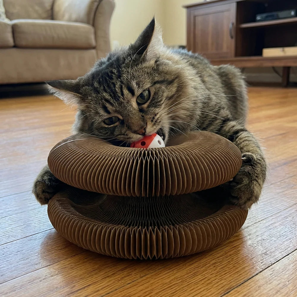 Endless Fun Cat Toy – Stimulates Hunting Instincts