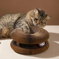 Endless Fun Cat Toy – Stimulates Hunting Instincts