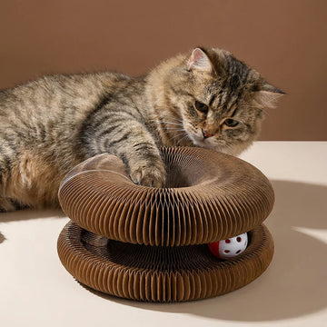 Endless Fun Cat Toy – Stimulates Hunting Instincts