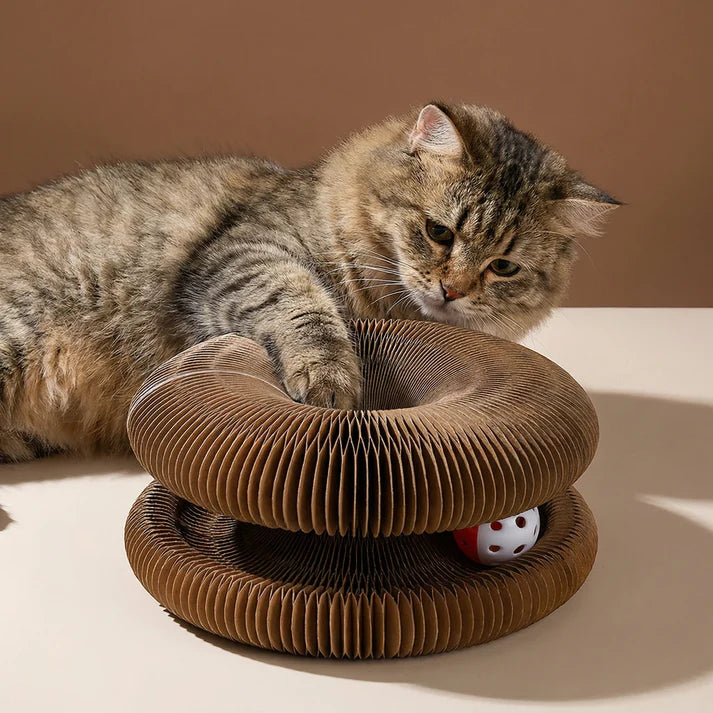 Endless Fun Cat Toy – Stimulates Hunting Instincts