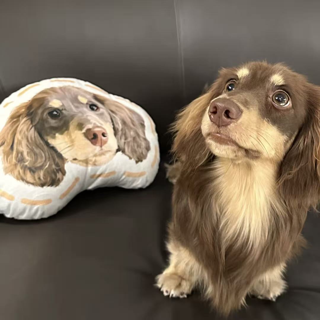 Personalized Pet Shaped Pillow 3D Photo Pillow