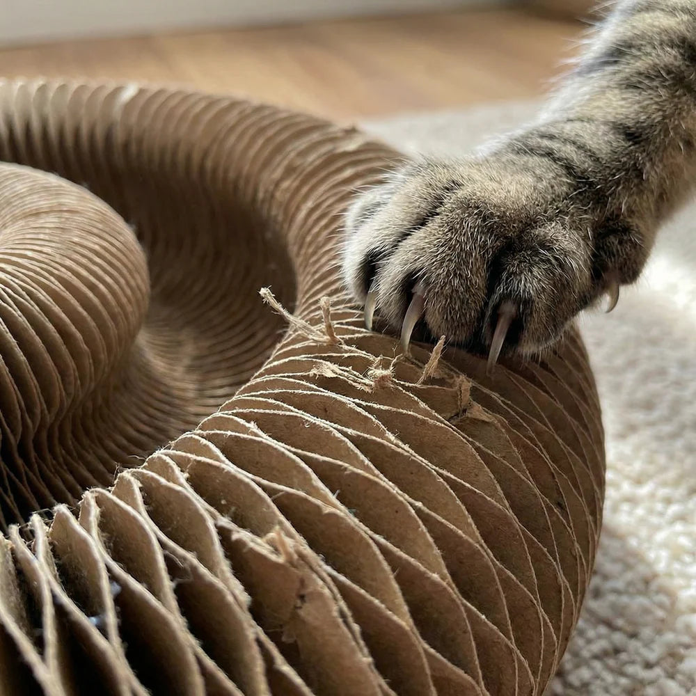 Endless Fun Cat Toy – Stimulates Hunting Instincts