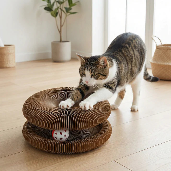 Endless Fun Cat Toy – Stimulates Hunting Instincts