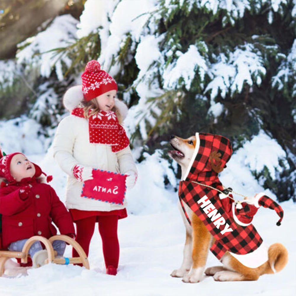 Personalized Christmas Santa Pet Riding Clothes