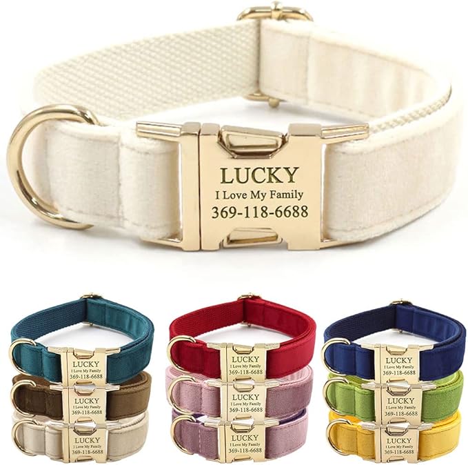 Custom Dog Collar Personalized