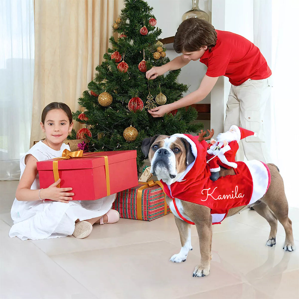 Personalized Christmas Santa Pet Riding Clothes