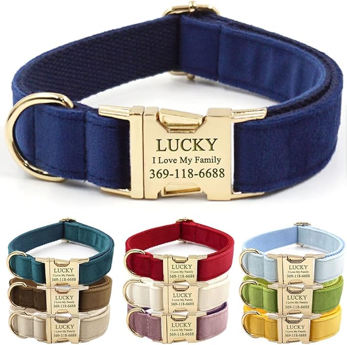 Custom Dog Collar Personalized