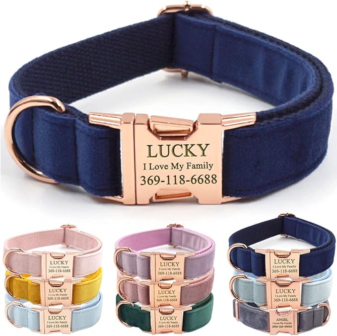 Custom Dog Collar Personalized