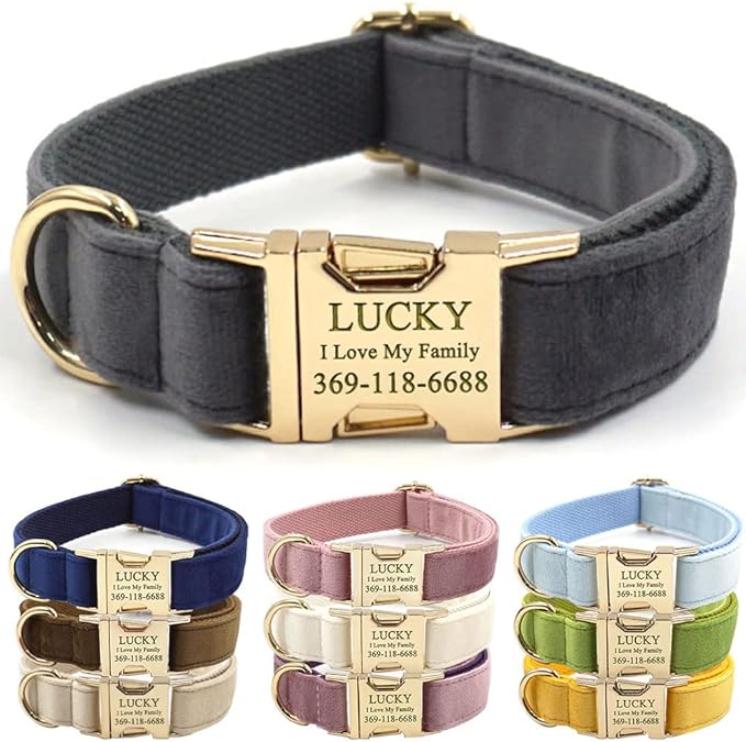 Custom Dog Collar Personalized