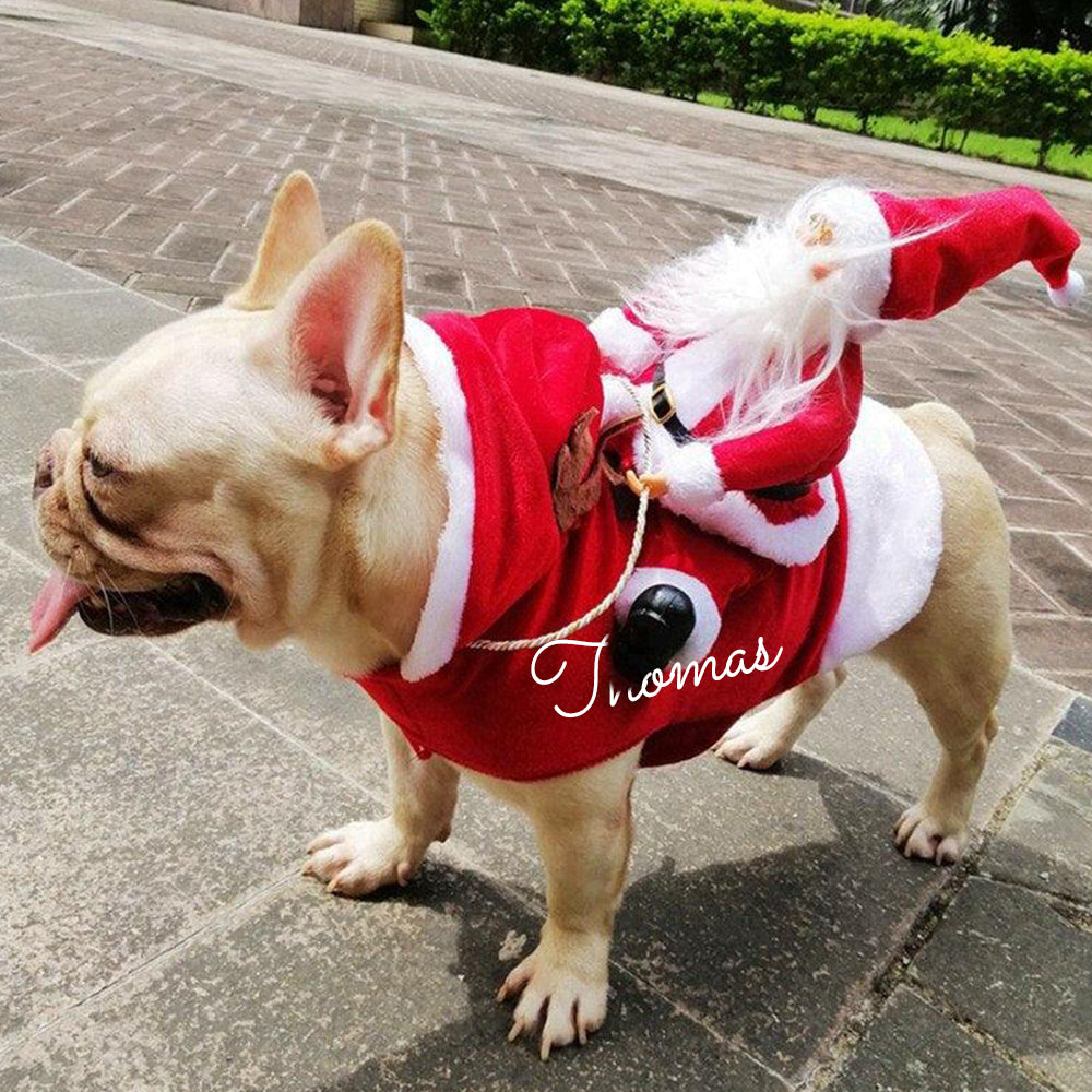 Personalized Christmas Santa Pet Riding Clothes