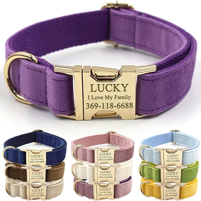 Custom Dog Collar Personalized
