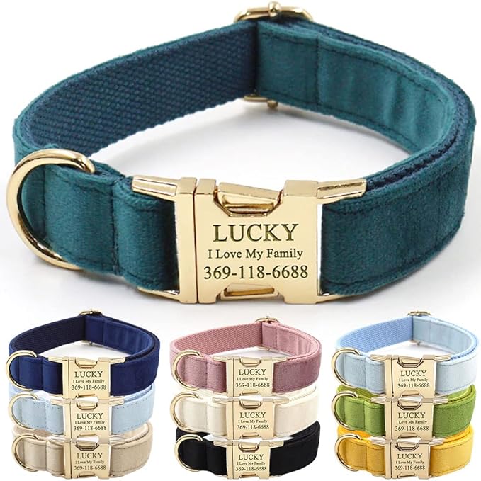 Custom Dog Collar Personalized