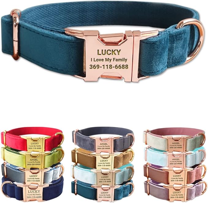 Custom Dog Collar Personalized