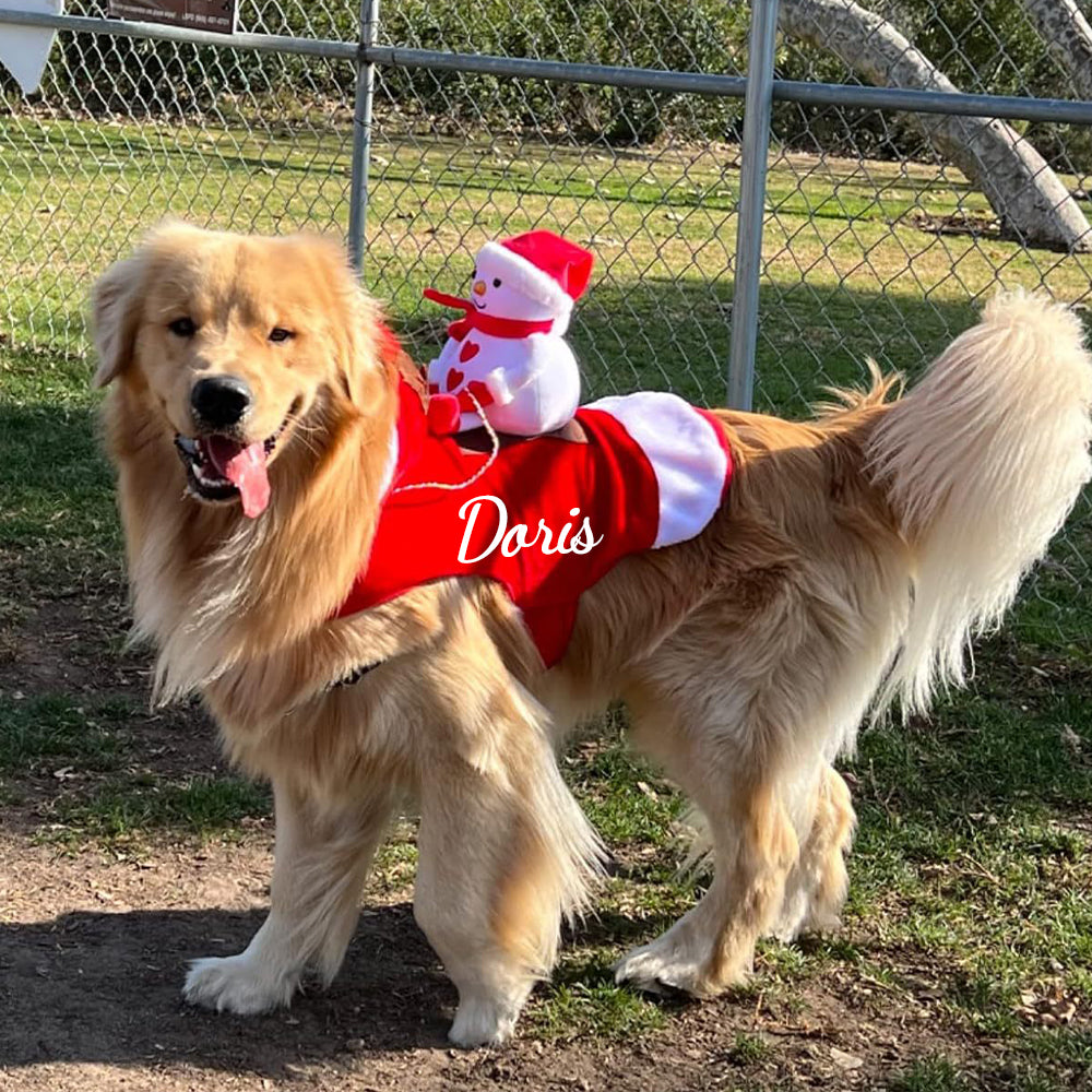 Personalized Christmas Santa Pet Riding Clothes