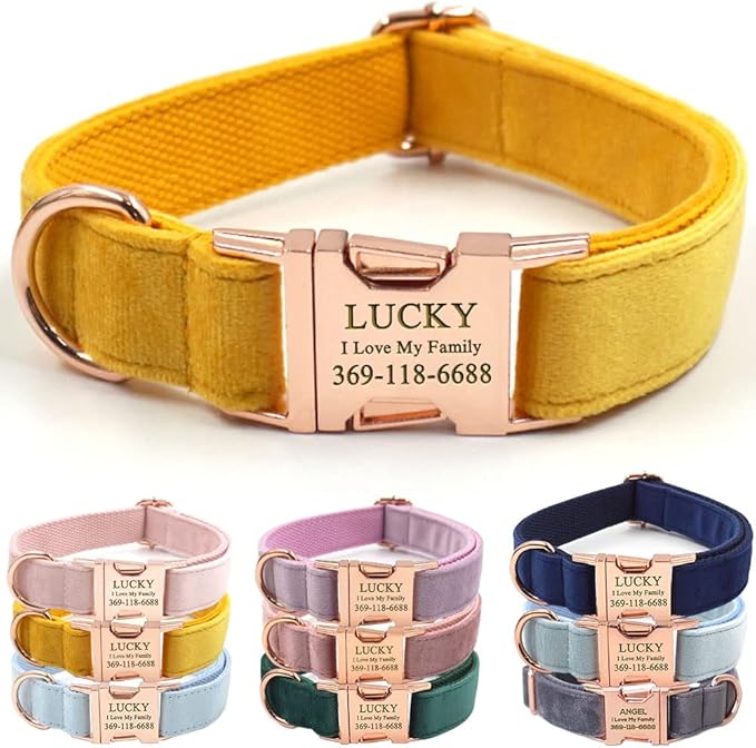Custom Dog Collar Personalized