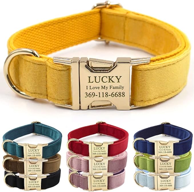 Custom Dog Collar Personalized