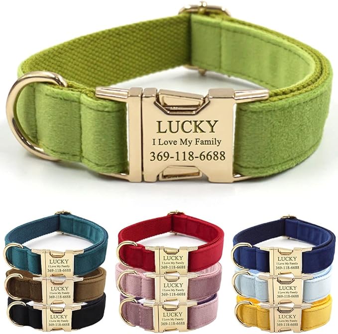 Custom Dog Collar Personalized