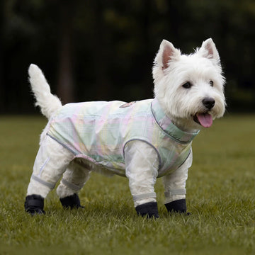 Pastel Plaid All-Coverage Dog Jumpsuit with Built-in D-Ring