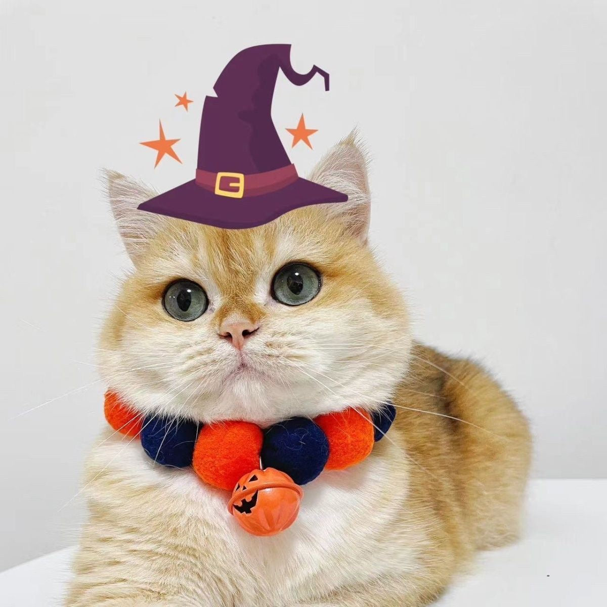 Halloween Pom Pom Cat Collar with Pumpkin Bell Charm – Spooky Festive Pet Accessory
