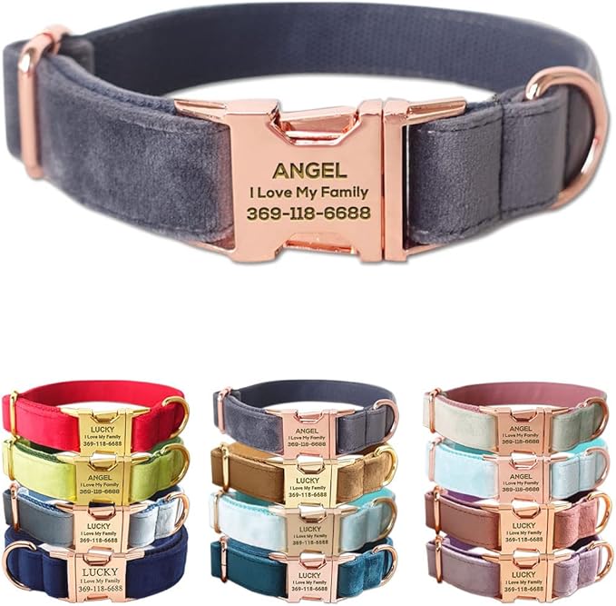 Custom Dog Collar Personalized