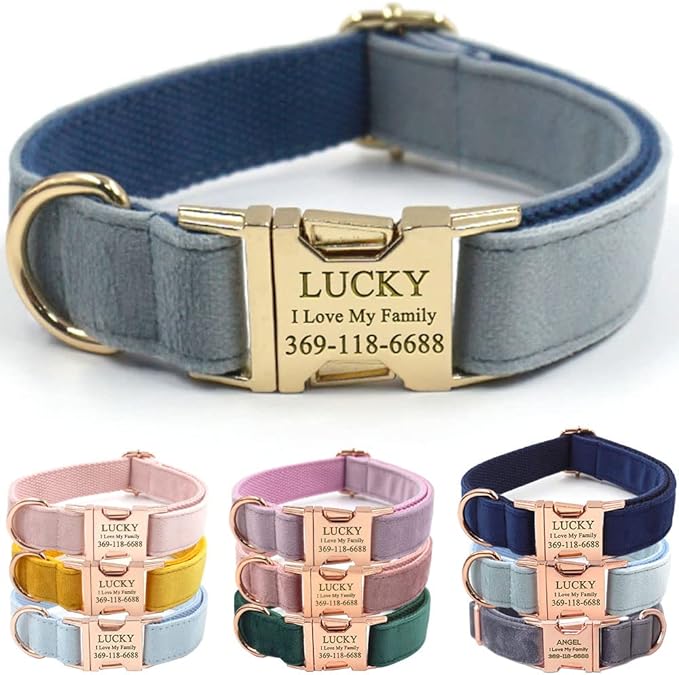 Custom Dog Collar Personalized