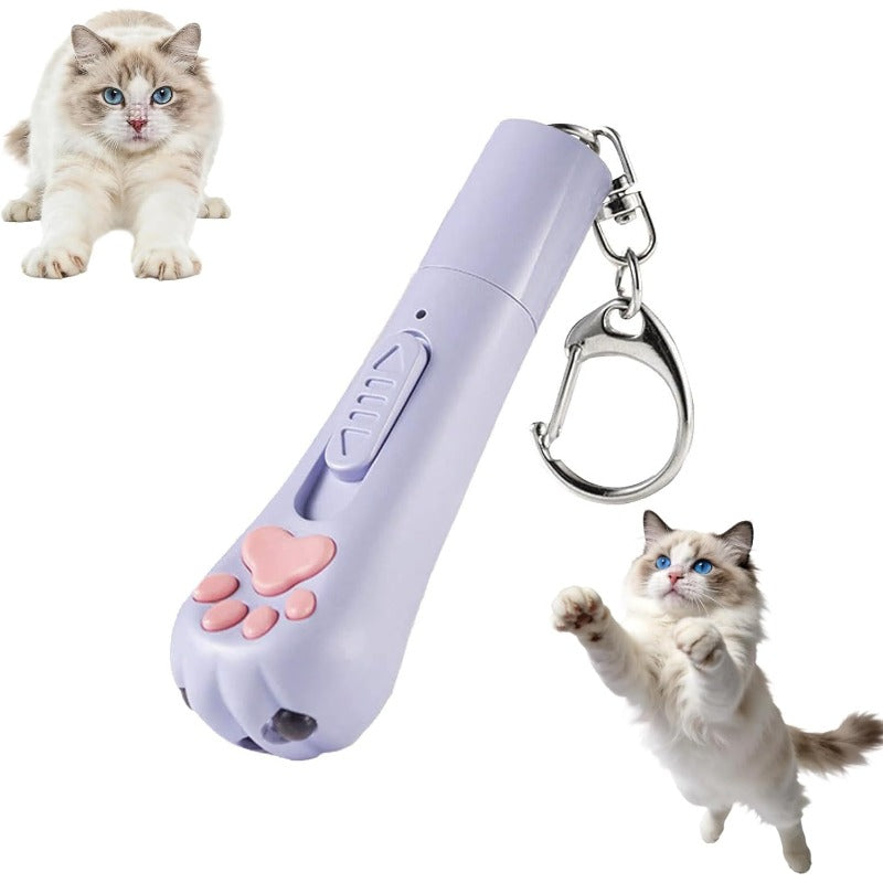 USB Rechargeable Cat Pointer