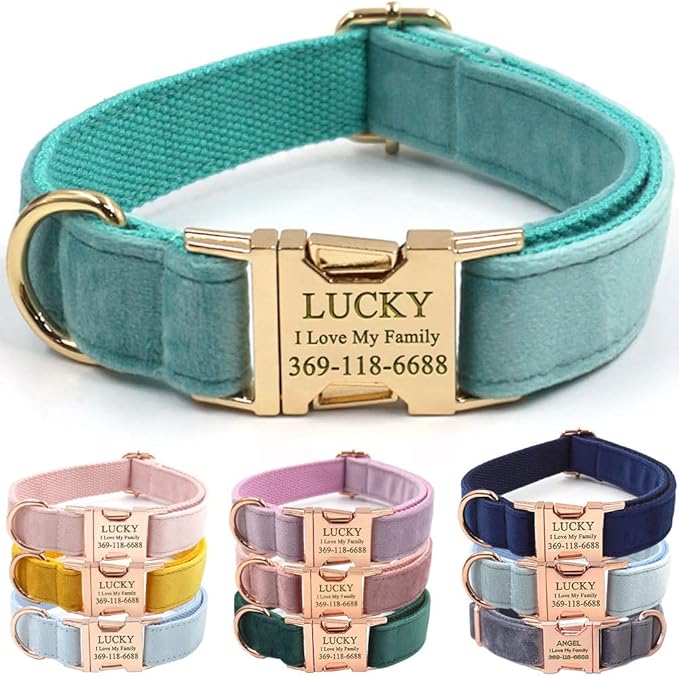 Custom Dog Collar Personalized