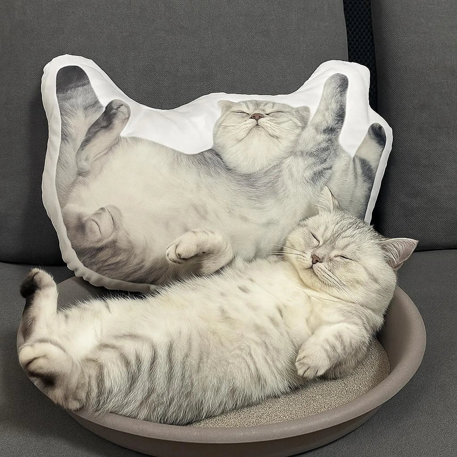 Personalized Pet Shaped Pillow 3D Photo Pillow