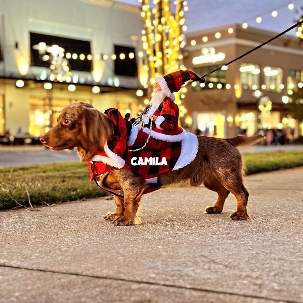 Personalized Christmas Santa Pet Riding Clothes