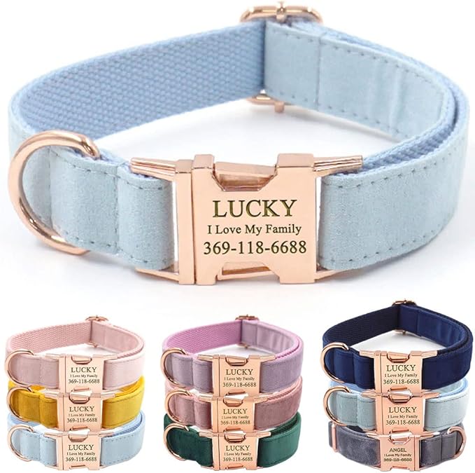 Custom Dog Collar Personalized