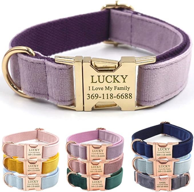 Custom Dog Collar Personalized