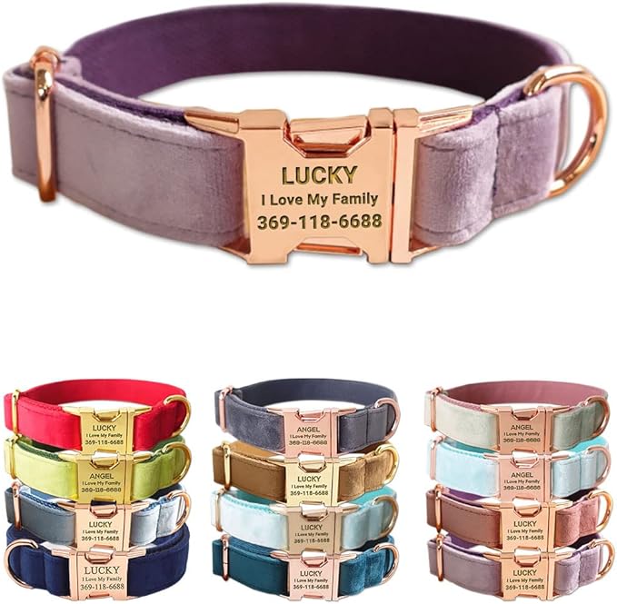 Custom Dog Collar Personalized