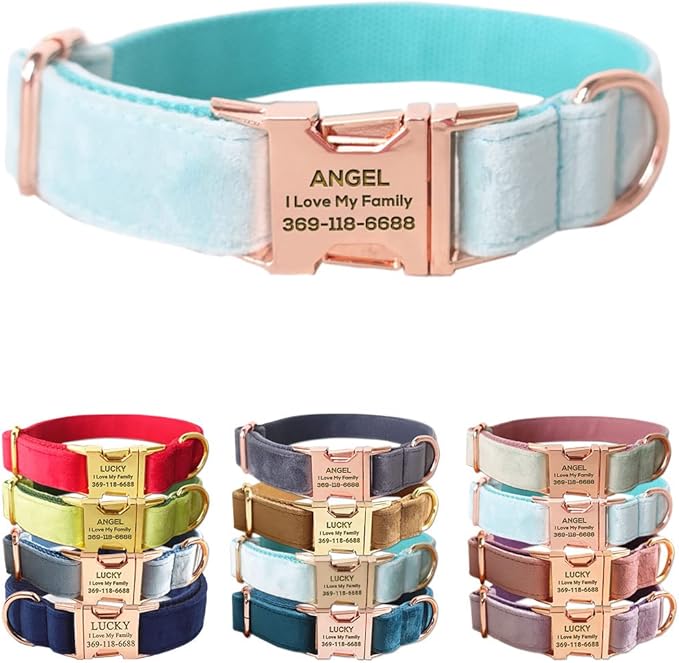 Custom Dog Collar Personalized