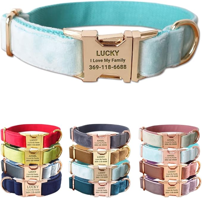 Custom Dog Collar Personalized