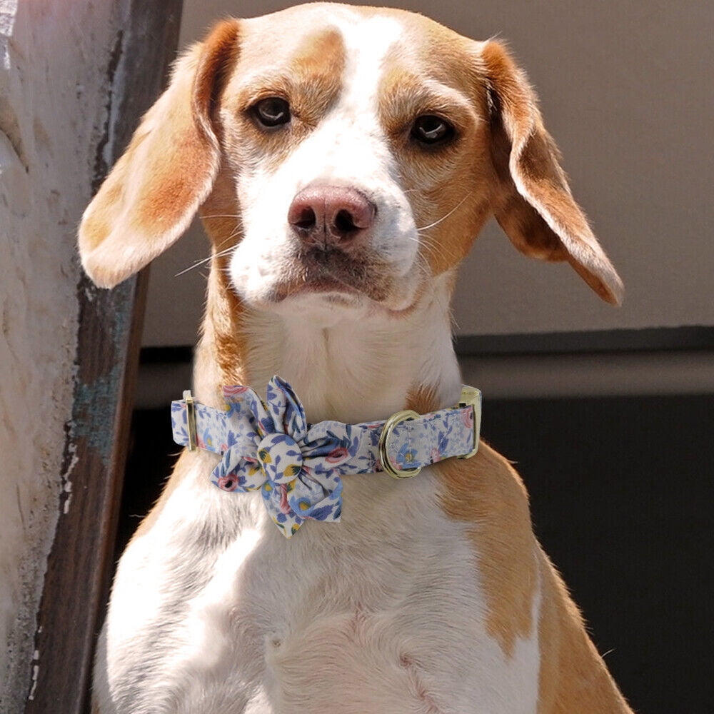 Personalized Puppy Collar – Adjustable Nylon Dog Collar with Free Name Engraving