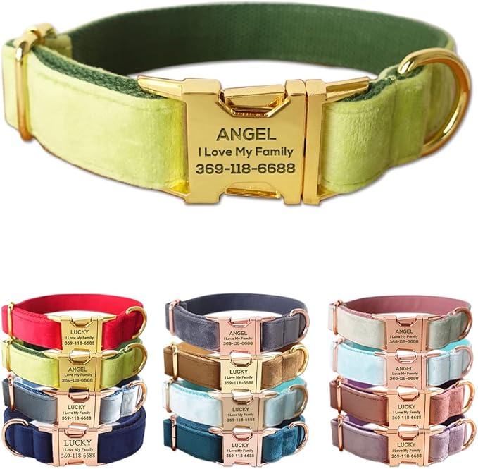 Custom Dog Collar Personalized