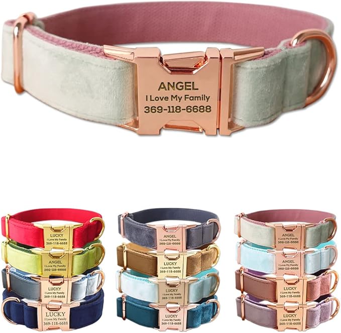 Custom Dog Collar Personalized