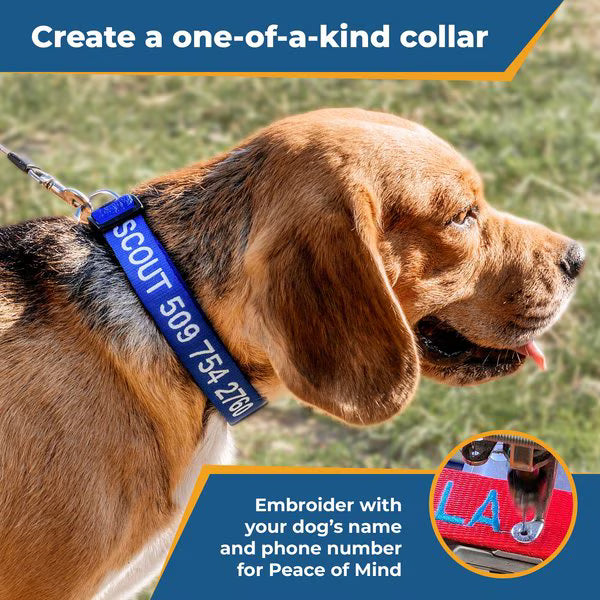 GoTags Nylon Personalized Dog Collar