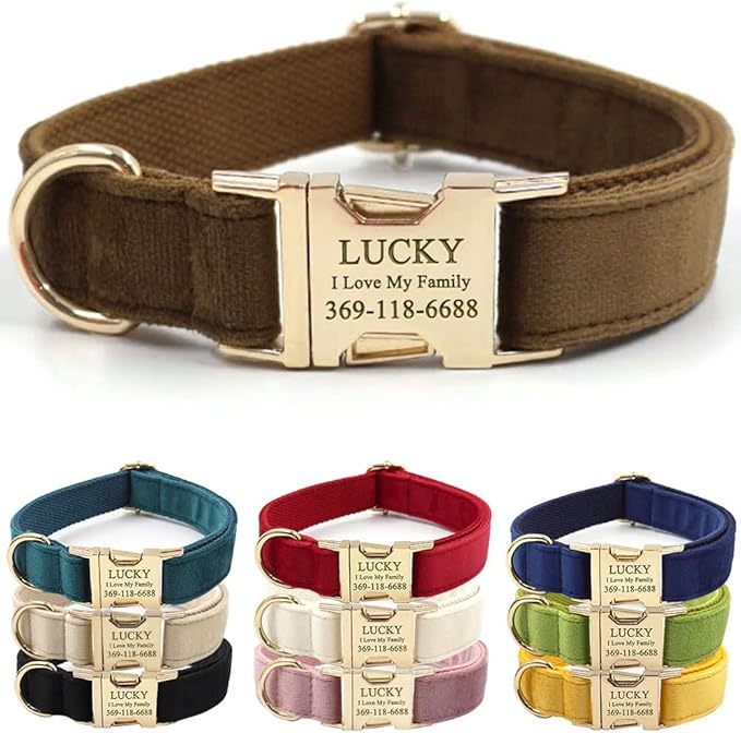 Custom Dog Collar Personalized