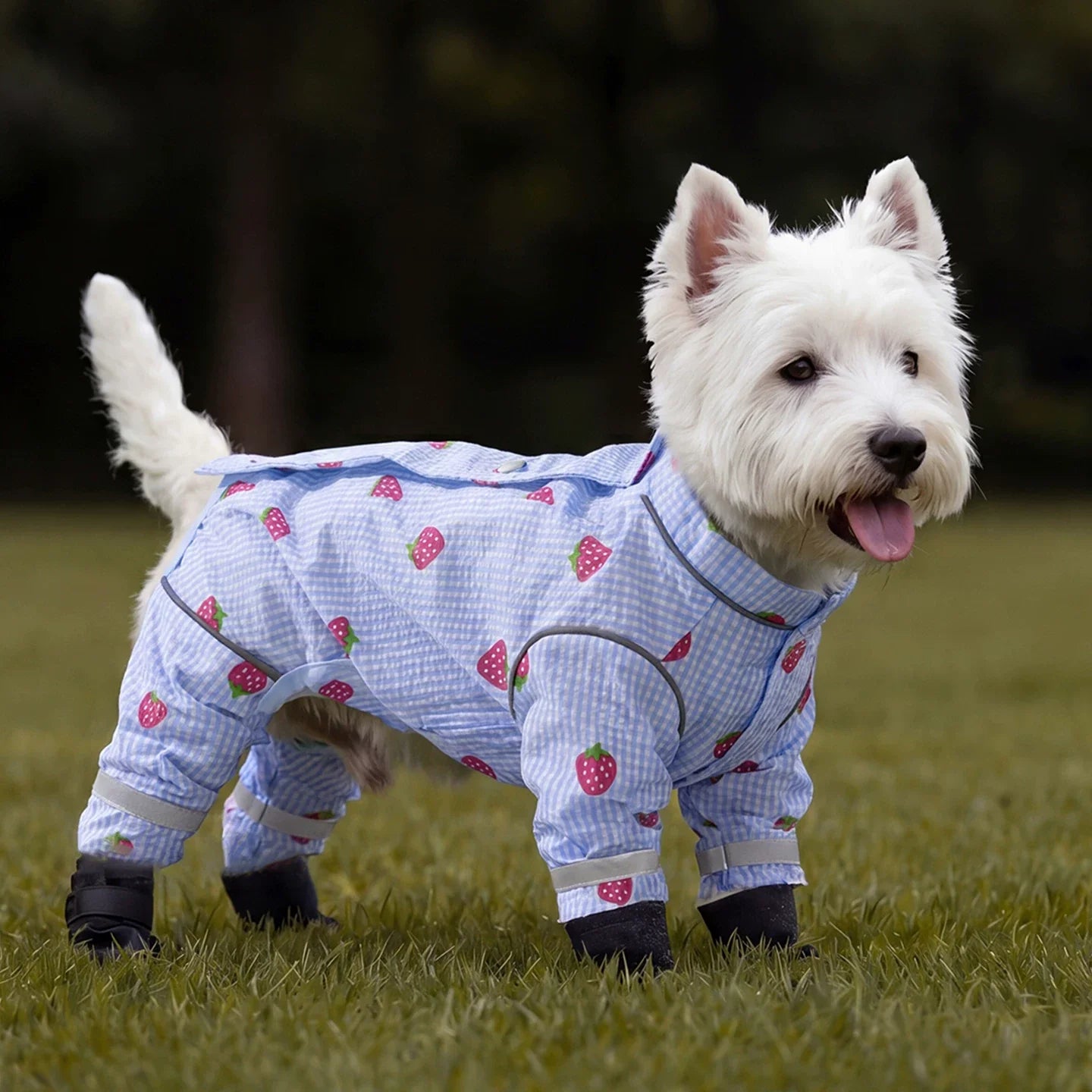 Pastel Plaid All-Coverage Dog Jumpsuit with Built-in D-Ring