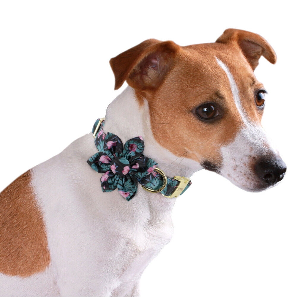 Personalized Puppy Collar – Adjustable Nylon Dog Collar with Free Name Engraving