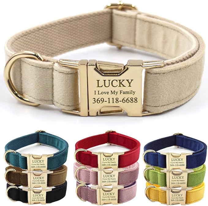 Custom Dog Collar Personalized